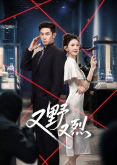 又野又烈电视剧